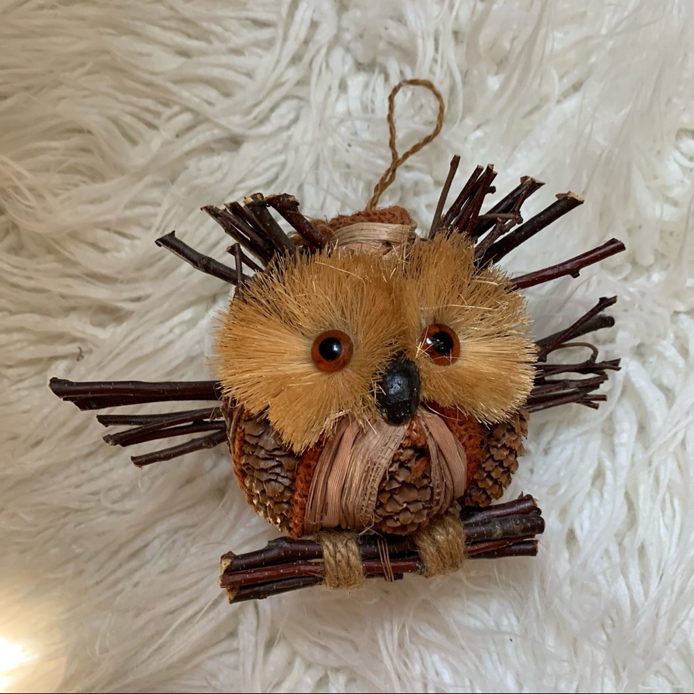 Cute owl ornament/decor